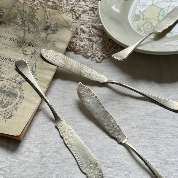 IMG_8099_7af5856e-9bd3-44c8-