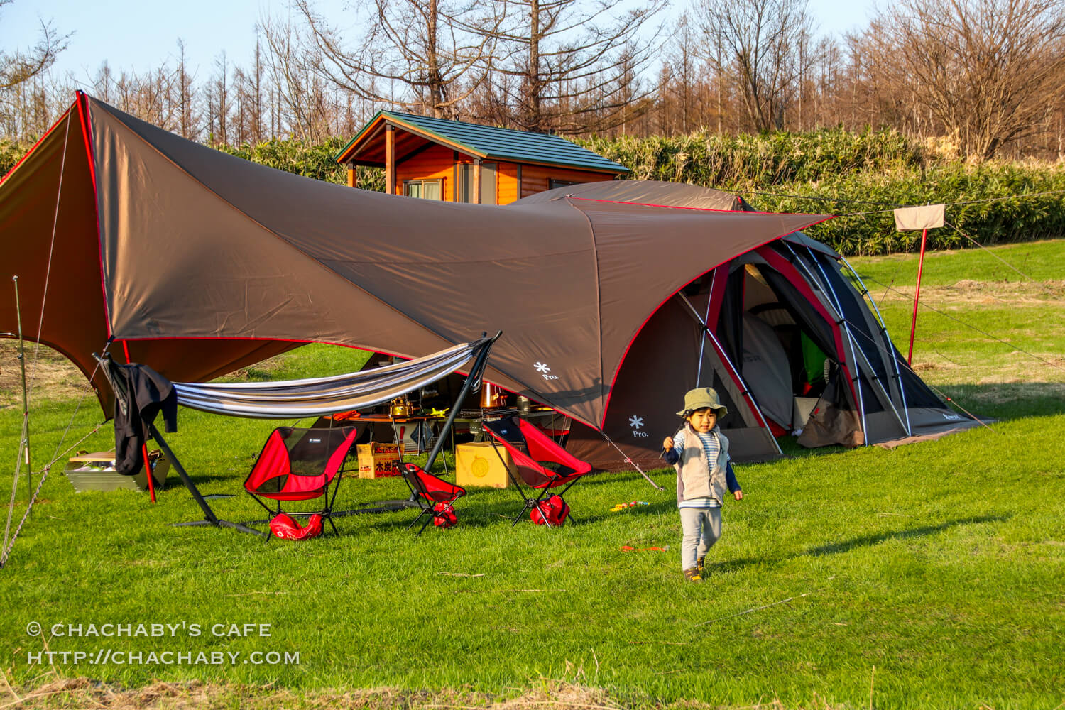 レビュー】スノーピークの「リビングシェルロングpro」を試す！ 楽々