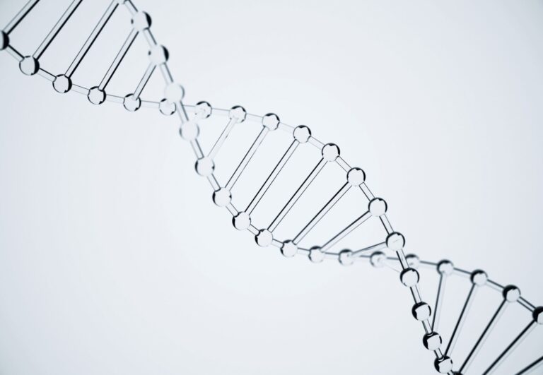 LE TEMPS | シャンソン化粧品