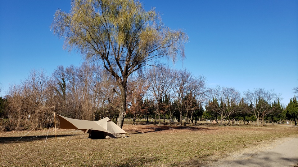 DOD/ショウネンテントTC] ～オーマイタープTCのポール高3段階編