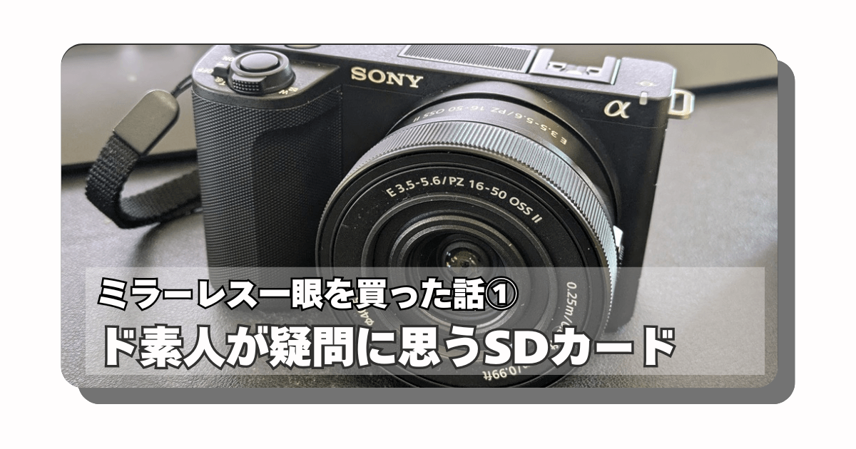 ZV-E10 II：ミラーレス一眼レフをド素人が買った感想①【概要とSD
