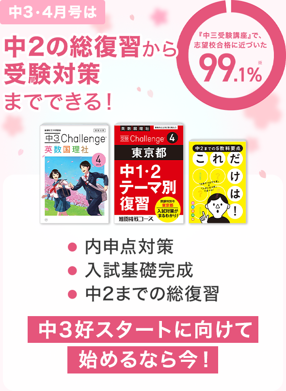 オリジナルスタイル｜進研ゼミ中学講座