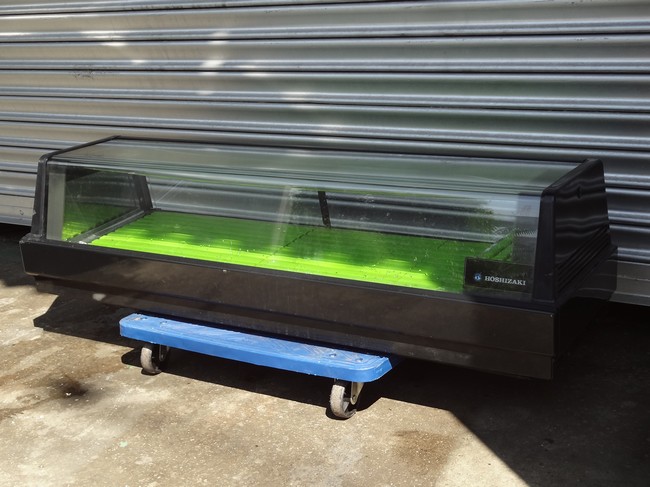 中古厨房機器 販売・買取の大阪厨房本舗/ホシザキ 恒温高湿ネタケース