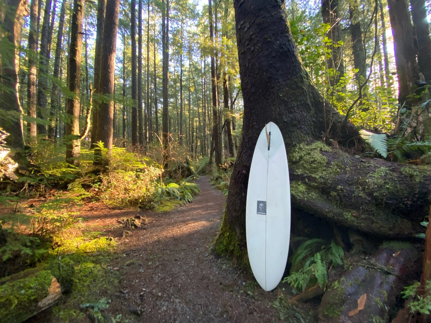 マイコナート (MYCONAUT) | クリステンソン サーフボード 日本公式