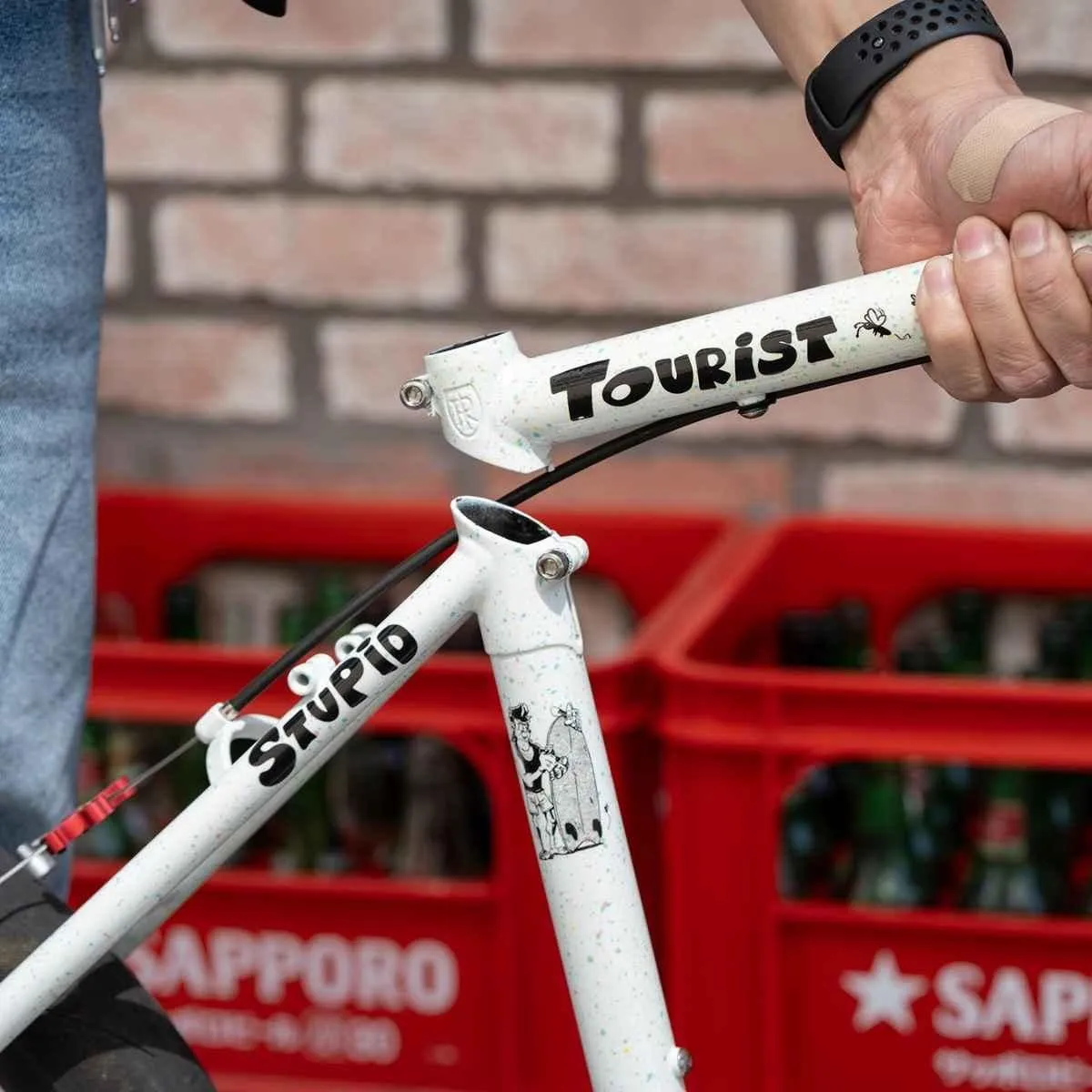 CRUST BIKES(クラストバイク) STUPID TOURIST frame set (pastel