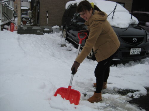 アルミスノーショベル L （完成品） – 株式会社コンパル