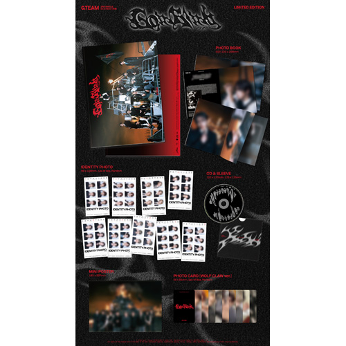 Go in Blind (月狼) [初回限定盤][CD MAXI][+PHOTO BOOK] - &TEAM