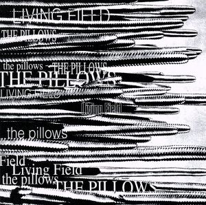 LOSTMAN GO TO YESTERDAY(DVD付) 中古CD | ブックオフ公式オンラインストア