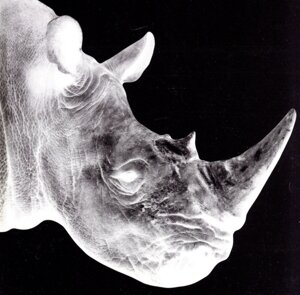 醒めない(デラックスエディション FC限定盤)(2SHM-CD+Blu-ray Disc