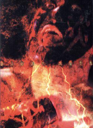 前田日明vsカレリン THE FINAL 中古DVD・ブルーレイ | ブックオフ公式