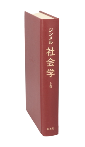社会学(上) 社会化の諸形式についての研究 中古本・書籍 | ブックオフ