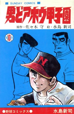 コミック全巻セット・まとめ買い】男どアホウ甲子園(全28巻)セット