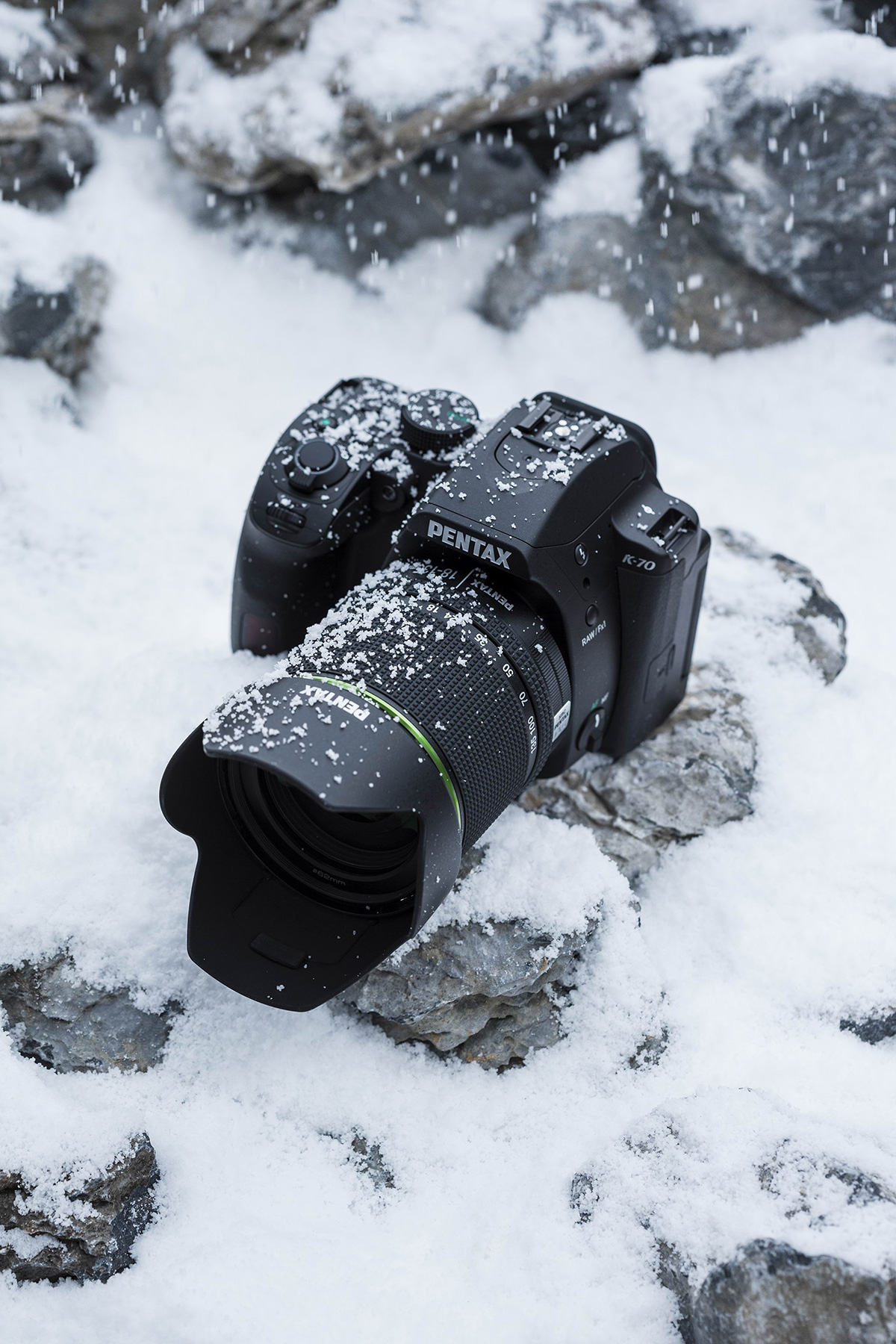 プロ厳選・初心者におすすめのデジタル一眼レフカメラを実写で比較