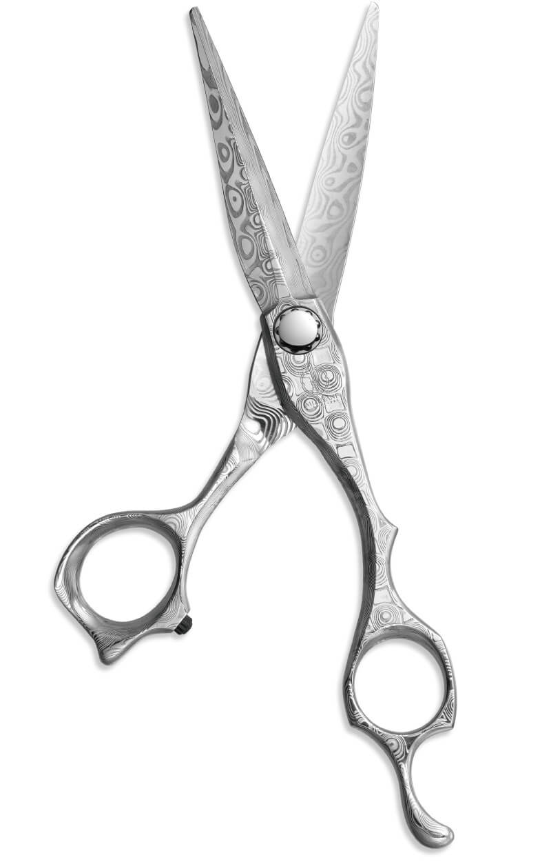 特集 NEW DAMA | ミズタニシザーズ