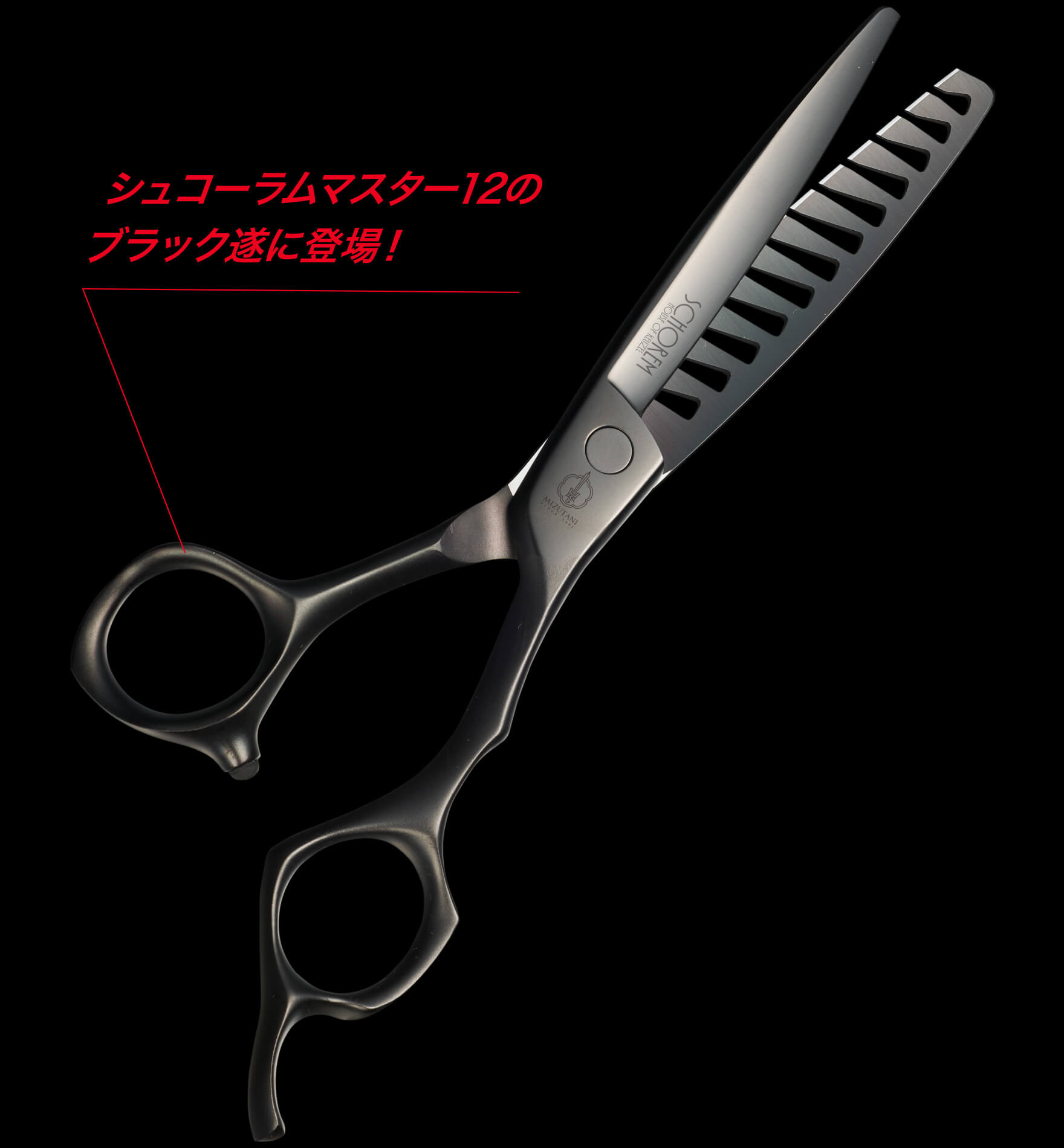 特集 SCHOREM MASTER シリーズ | ミズタニシザーズ