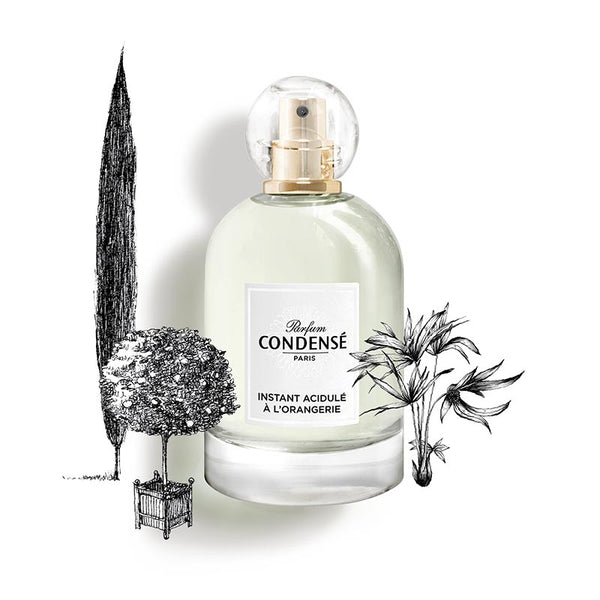 orangely_grande.jpg?v=1690321924