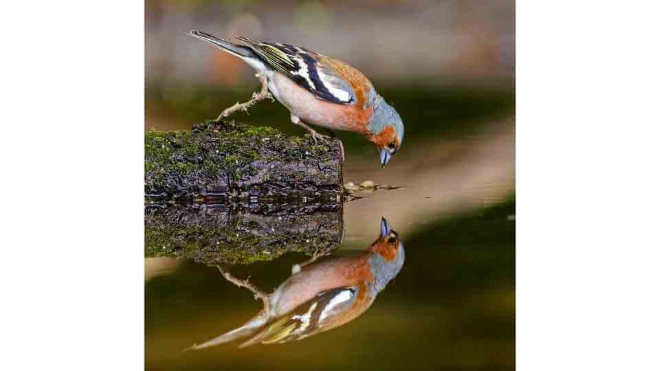 フロー（Flow）／人生のニュアンスを観察するPoints of You のツール