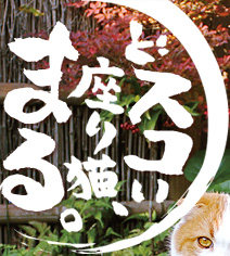 日本コロムビア｜DVD・どスコい座り猫、まる。～養老孟司先生と猫の