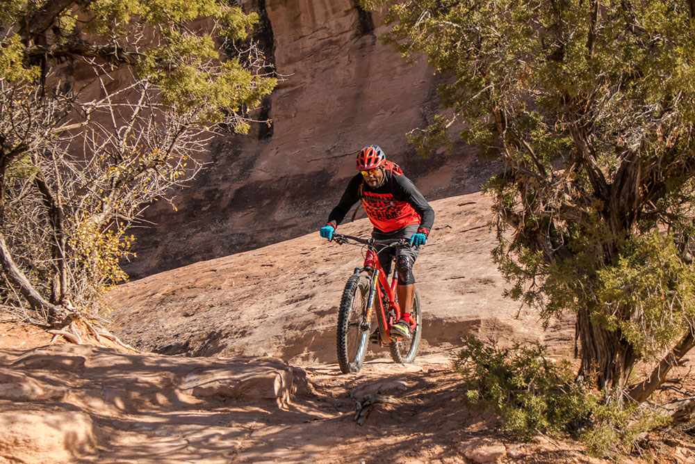 Fruita, Grand Junction, & Palisade Guided Mountain Biking