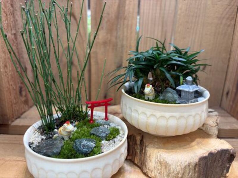 幕張新都心 】 苔盆栽ワークショップ Feel the garden