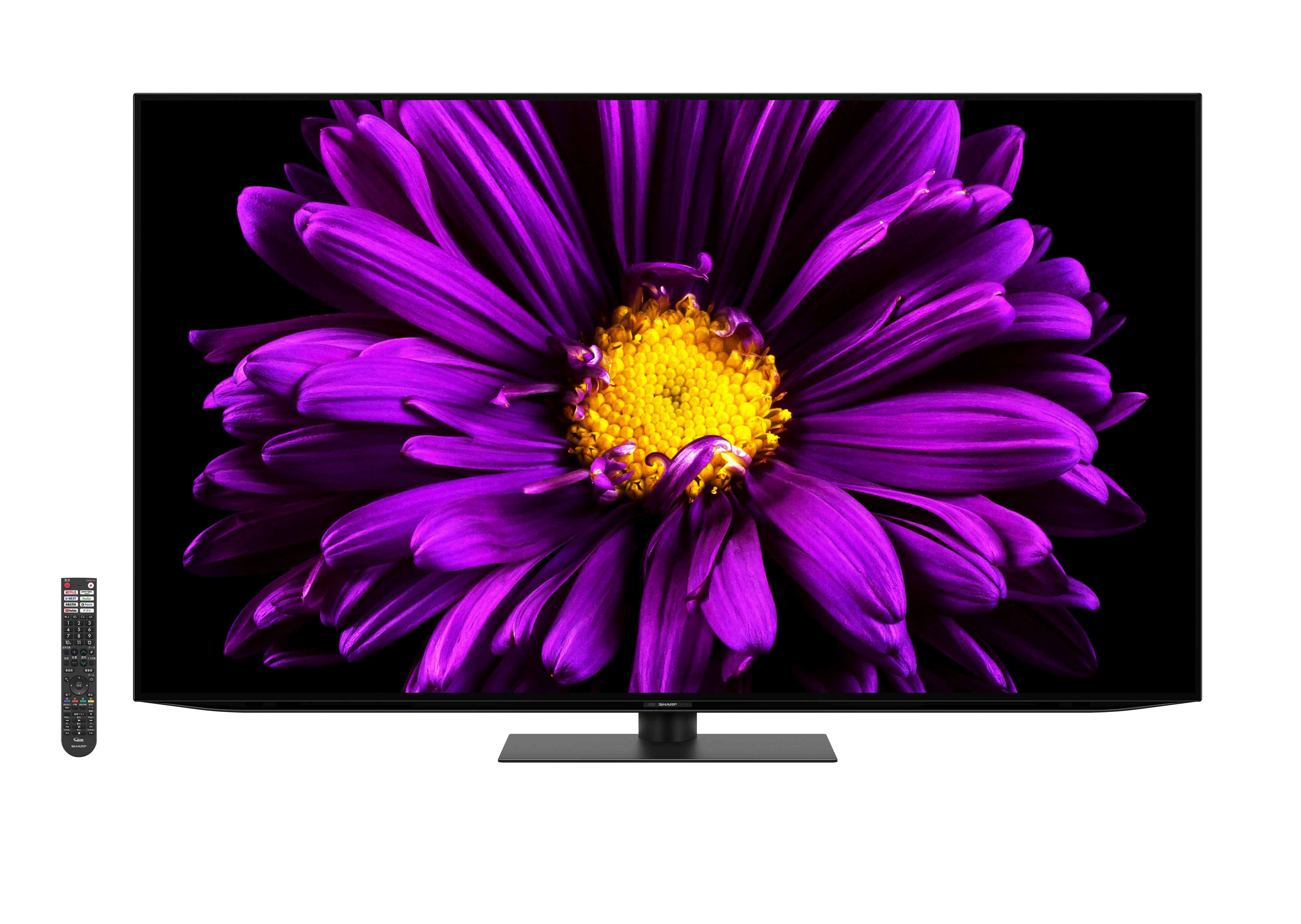 SHARP 65インチ 有機ELテレビ 4T-C65ES5 SHARP 65V型 4K 有機ELテレビ