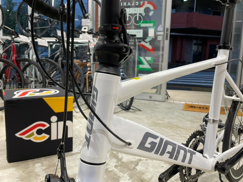 GIANT IDIOM 1 – サイクランドマスナガ