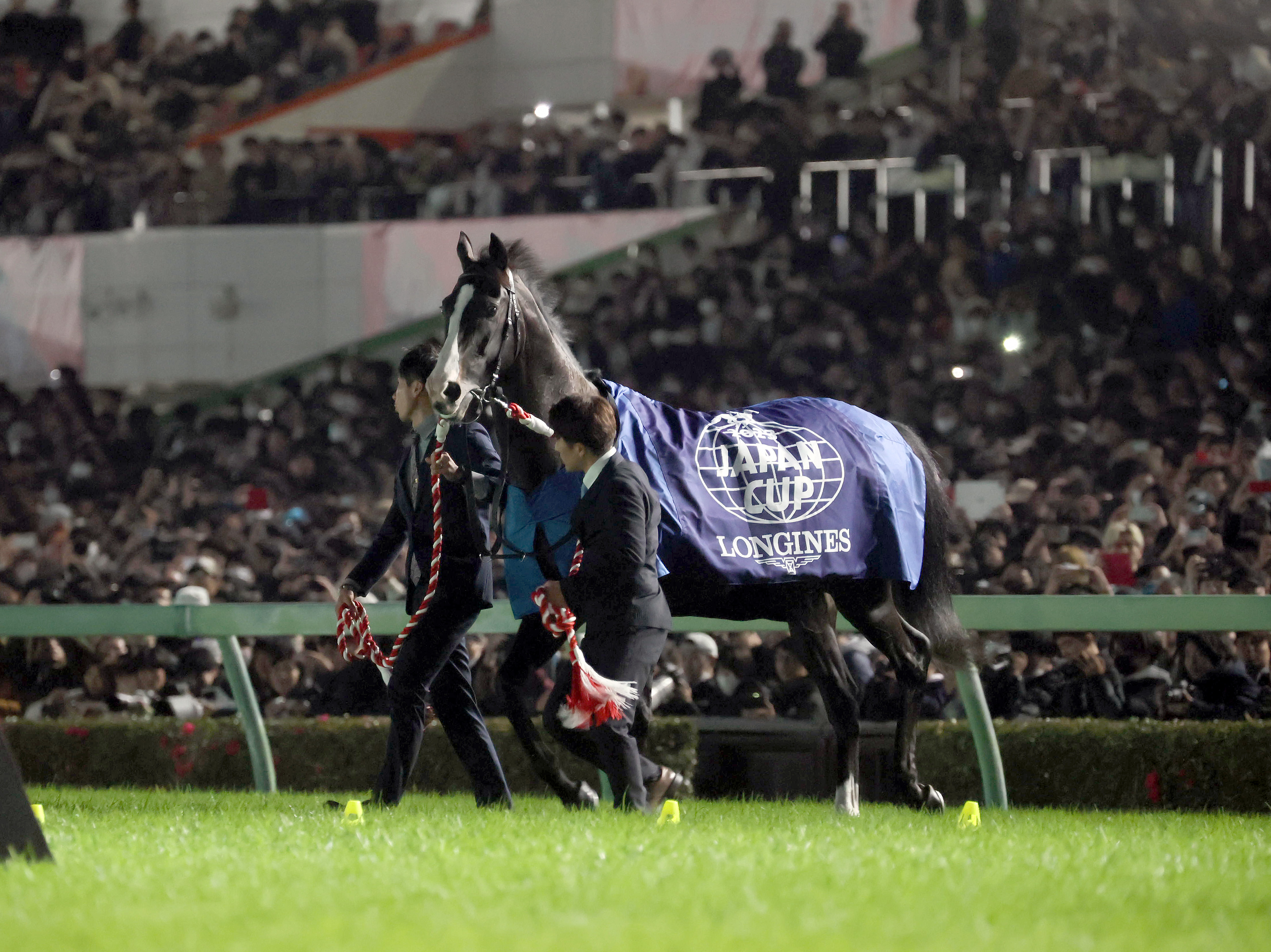 イクイノックス、国際ランクで年間1位 ジャパンカップ最高評価 - 産経