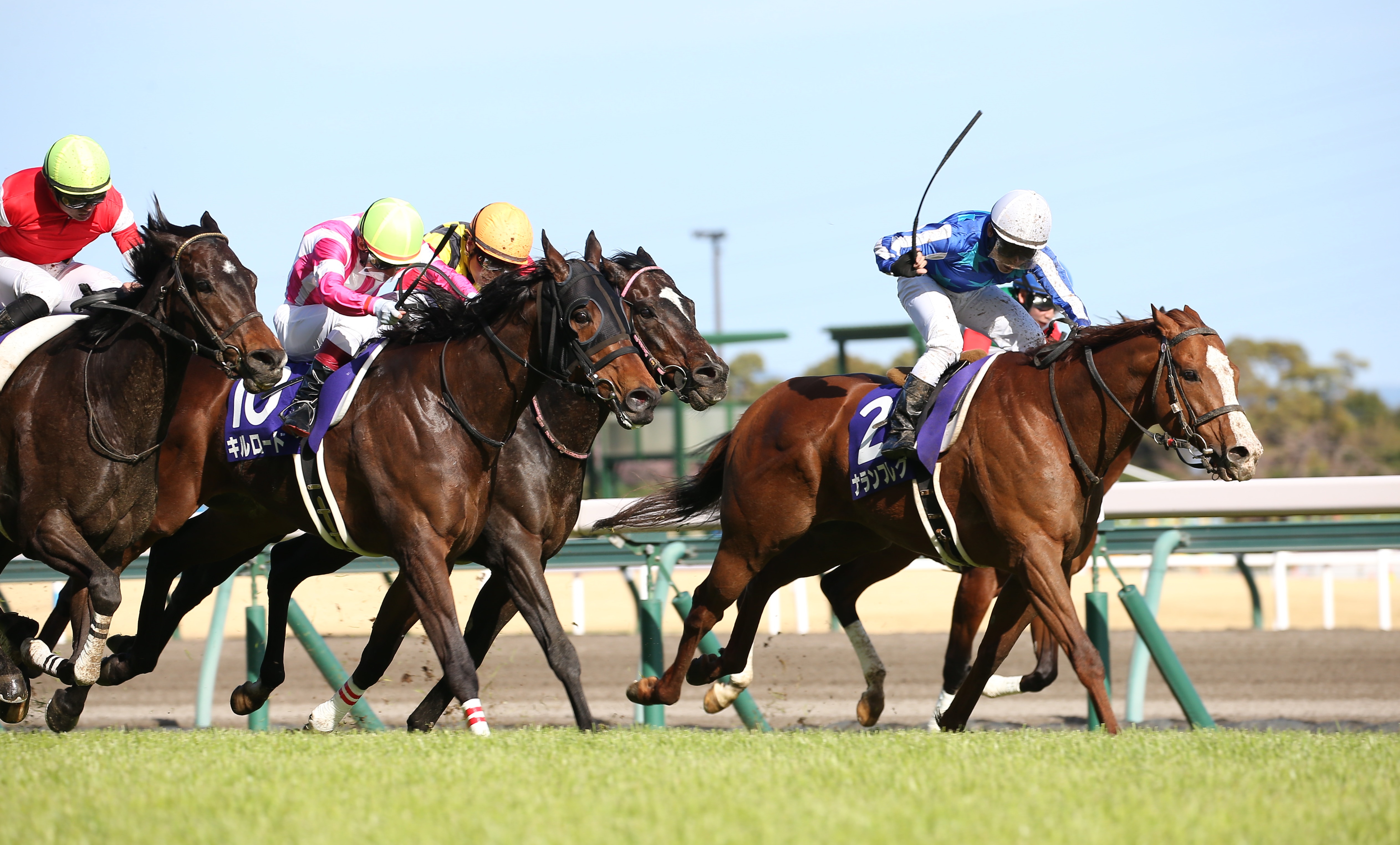 高松宮記念】3連単278万円超の大波乱！ナランフレグがゴール前の大