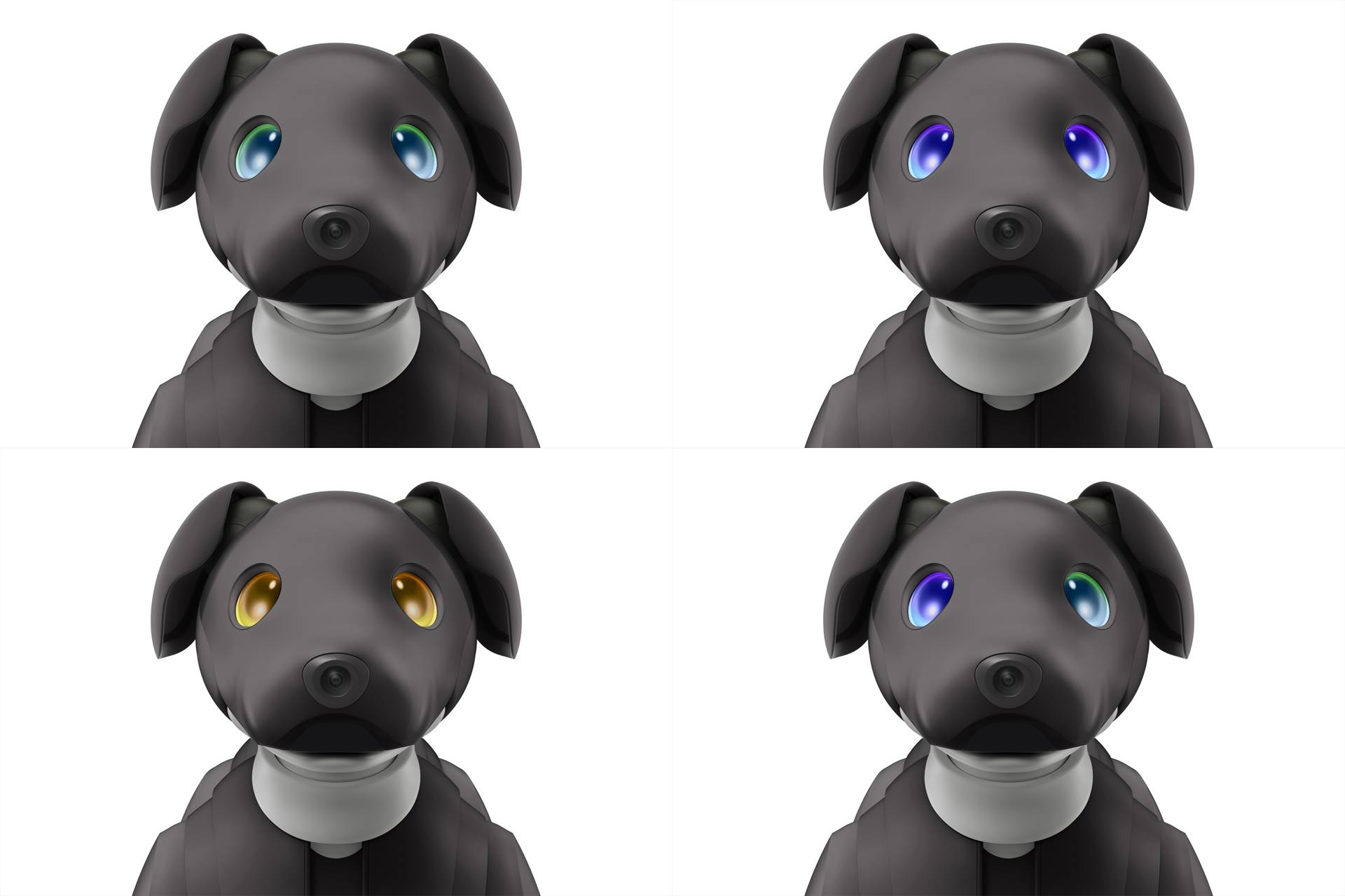 ソニー「aibo」の新メンバーは〝エスプレッソちゃん〟 発売5周年
