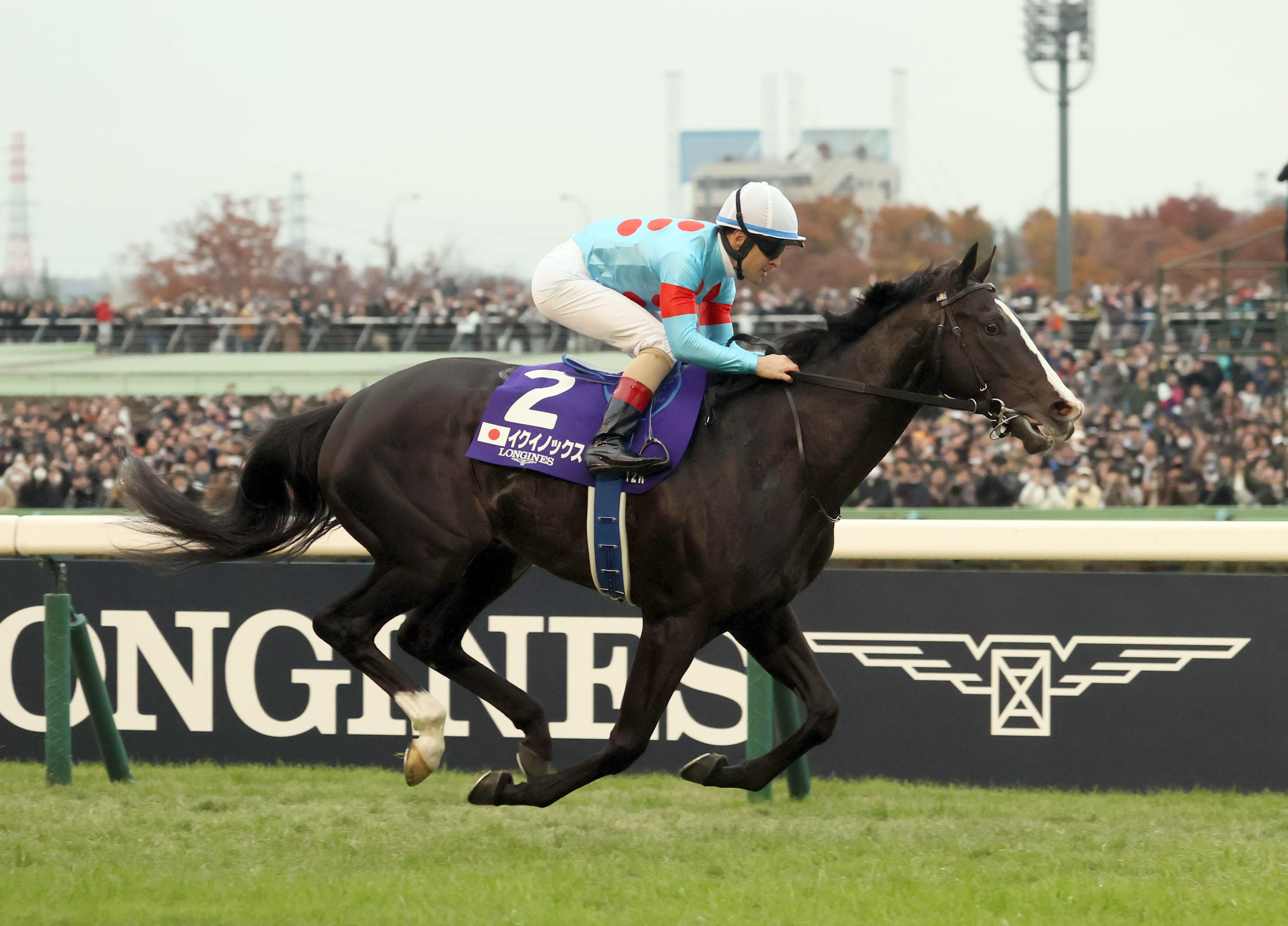 イクイノックスがGⅠ6連勝で歴代賞金最多に 競馬のジャパンカップ