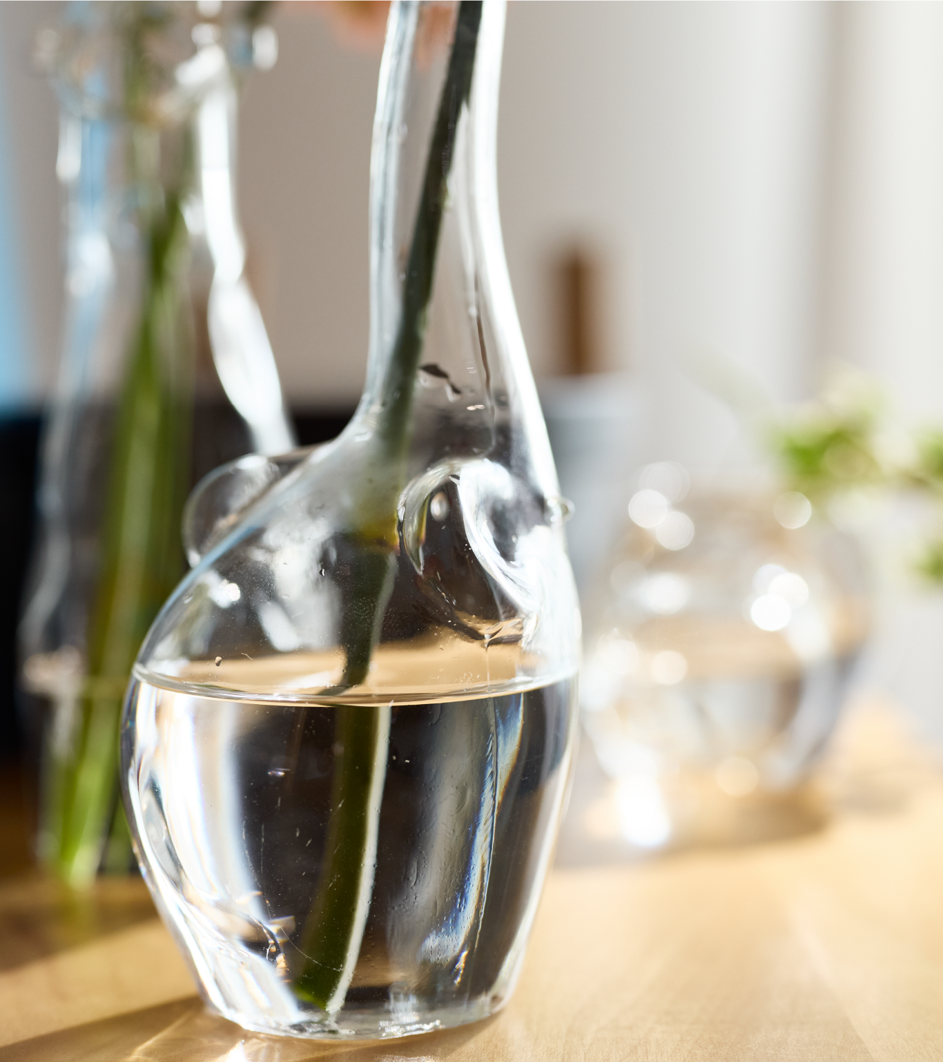 Animals｜CLAY - 花と人をツナグ