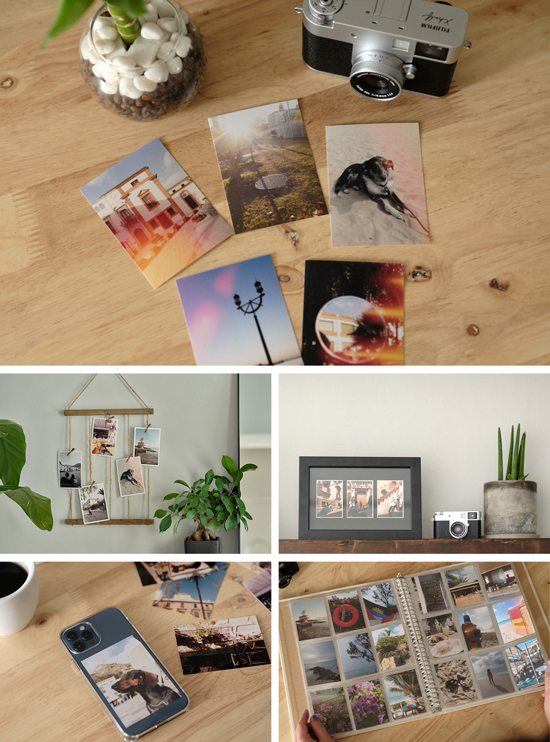 ハーフサイズプリント │ 富士フイルム