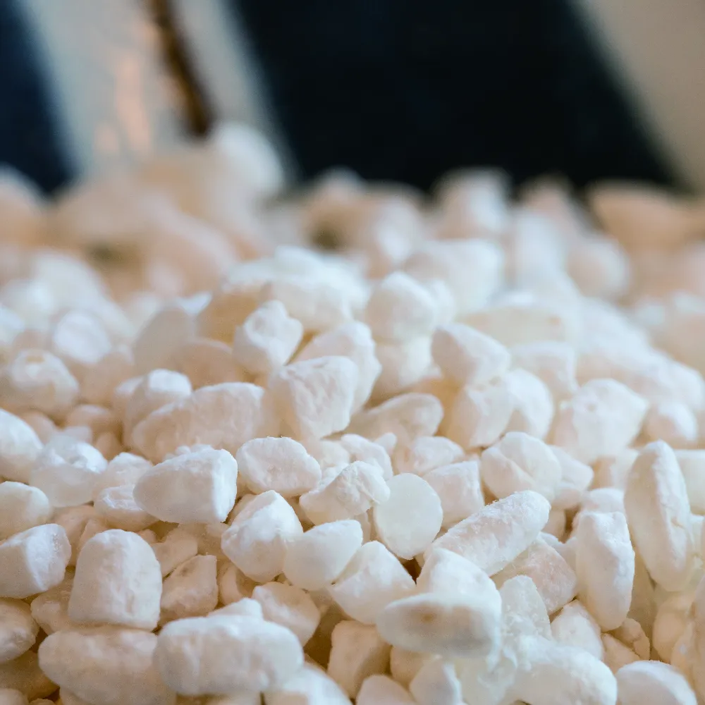 RT＋コジブライト - CLIGRAM