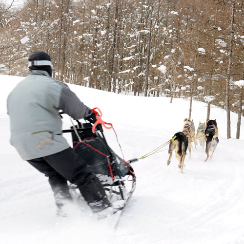 kenzouです 雪そり、冬ソリ、犬ぞり、ポニーそり、昭和レトロ荷物そり