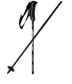 Swix CT9 Carbon Plus Pole | Cross Country Skier - Cross Country