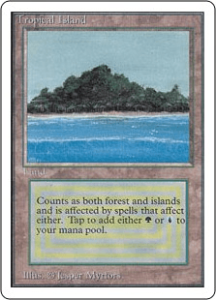 MTG】原点にして最強の土地、デュアルランドというプレイヤーにも