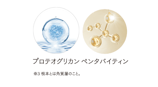 期間限定発売】エニシー グローパック Sparkle6 | 福山のエステ