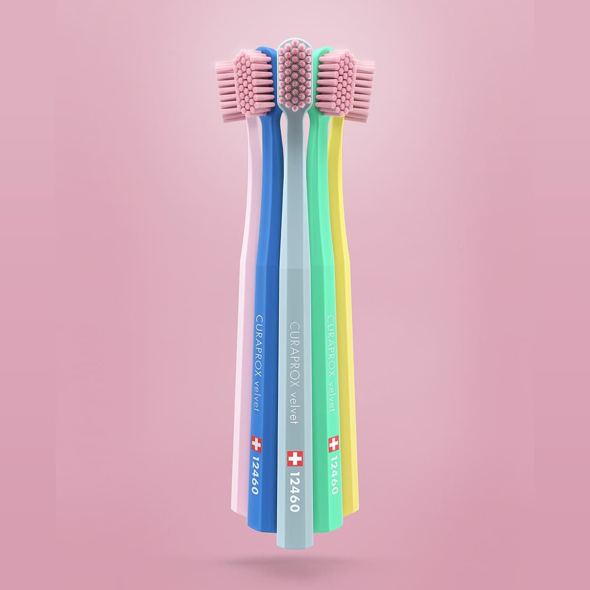 クラプロックス CS12460 ベルベット※色おまかせ 1本 | クラプロックス