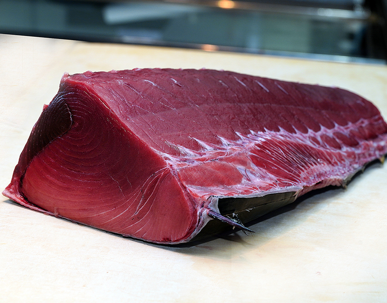 特上「天然生本まぐろ」 背側ブロック 日本近海水揚げ 約2kg 刺身用