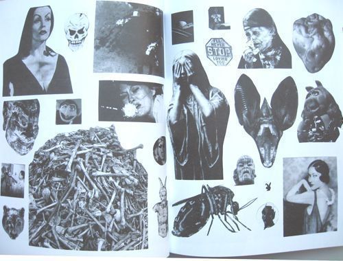 Weirdo Dave - Fuck This Life – Dale Zine Shop