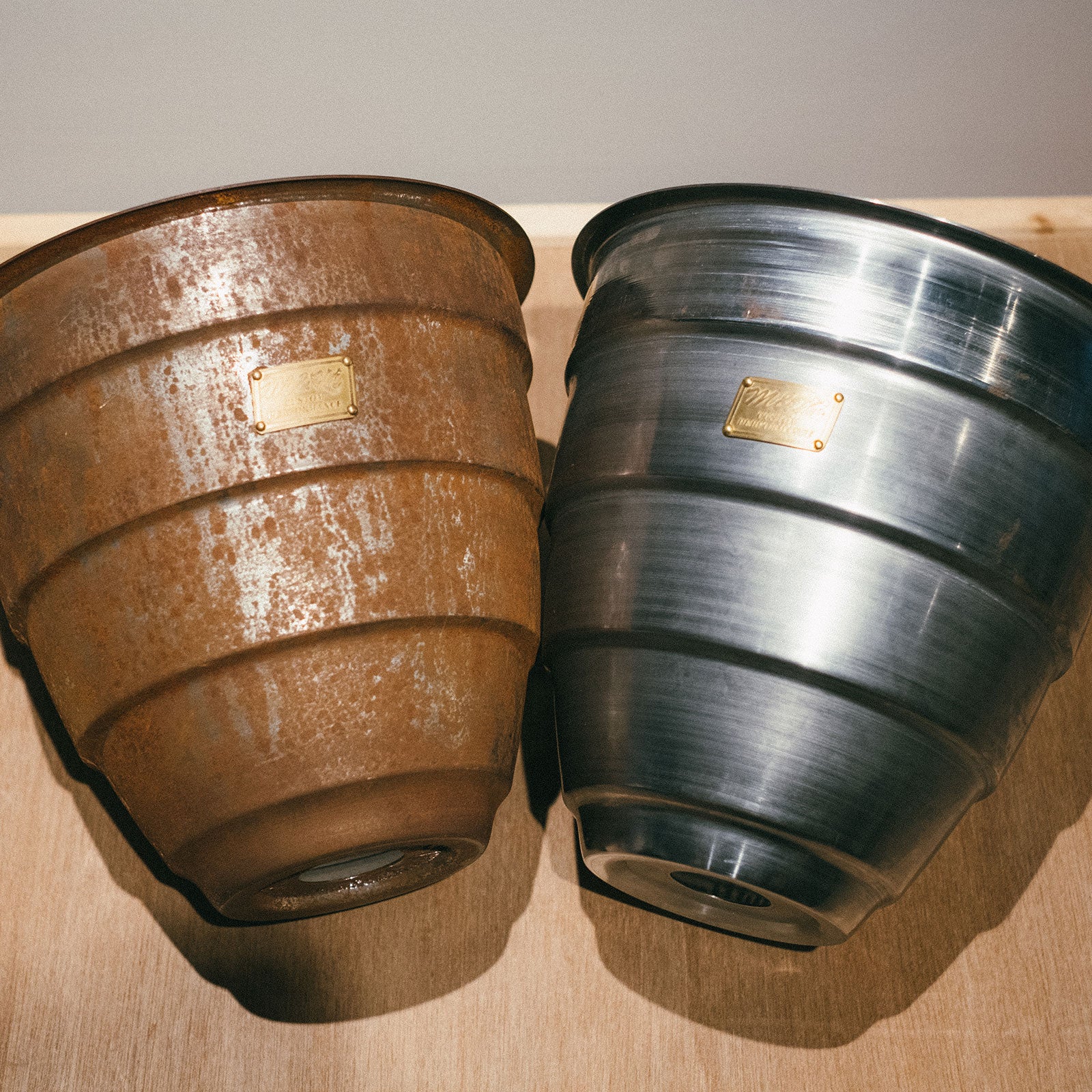 鉄鉢 M&M Masses マシス type5 アガベ チタノタ 塊根 鉄鉢 M&M