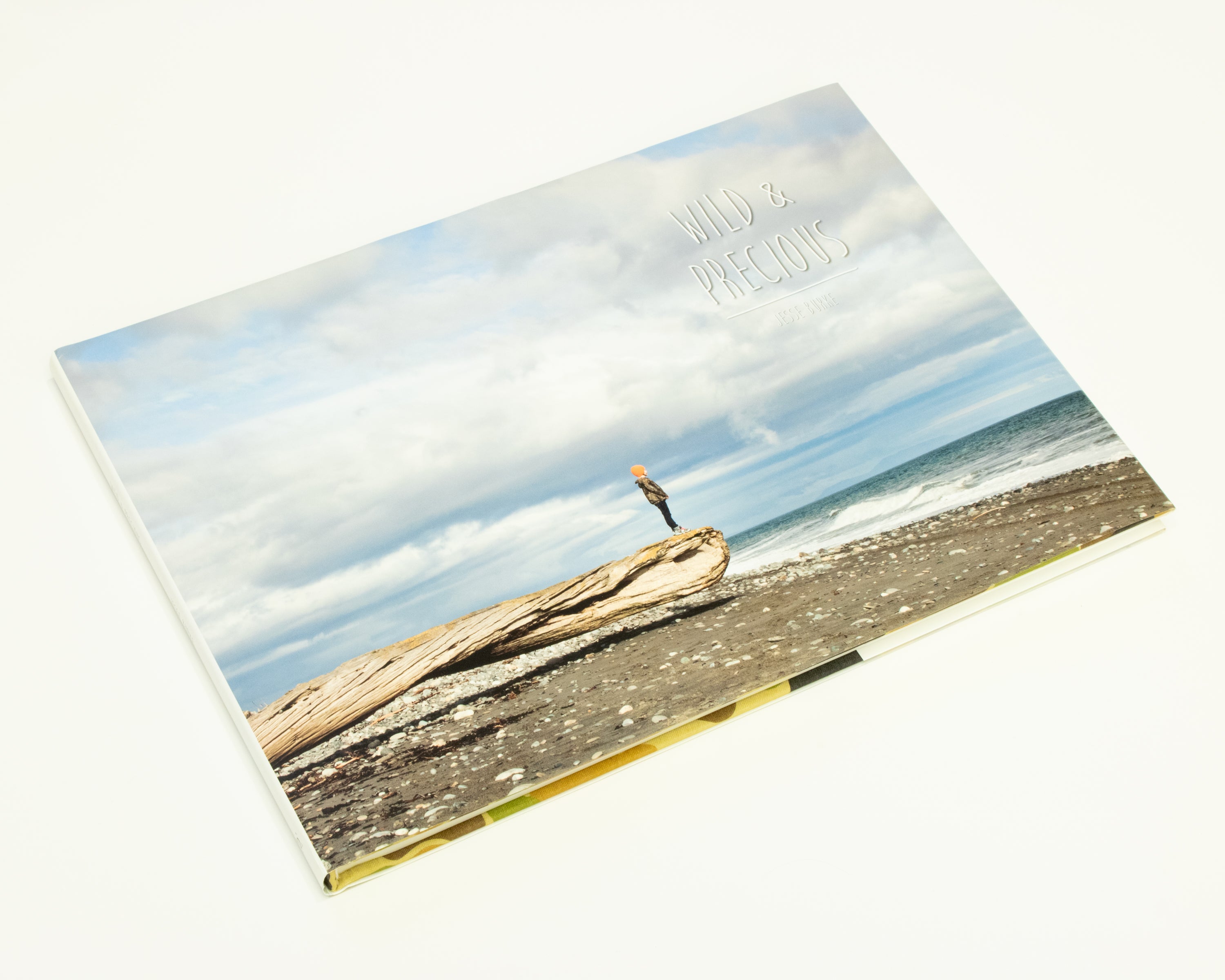 Wild & Precious – Daylight Books