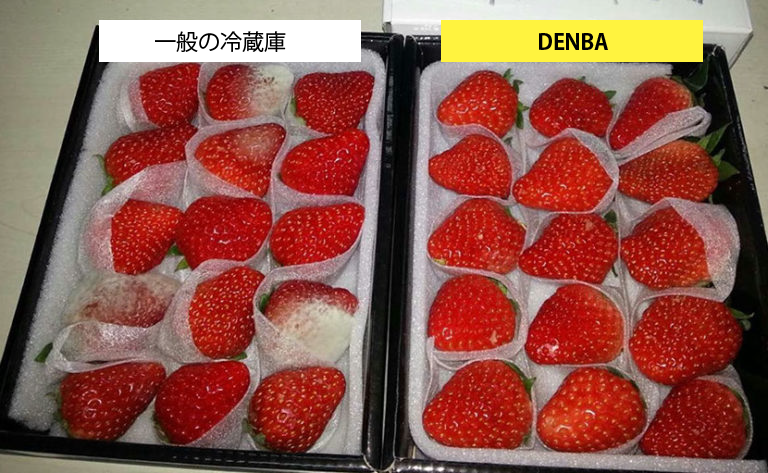 DENBAを使用した冷蔵 | DENBA公式一次販売店