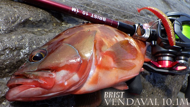 Fishman（フィッシュマン）VENDAVAL（ベンダバール）10.1M 商品詳細