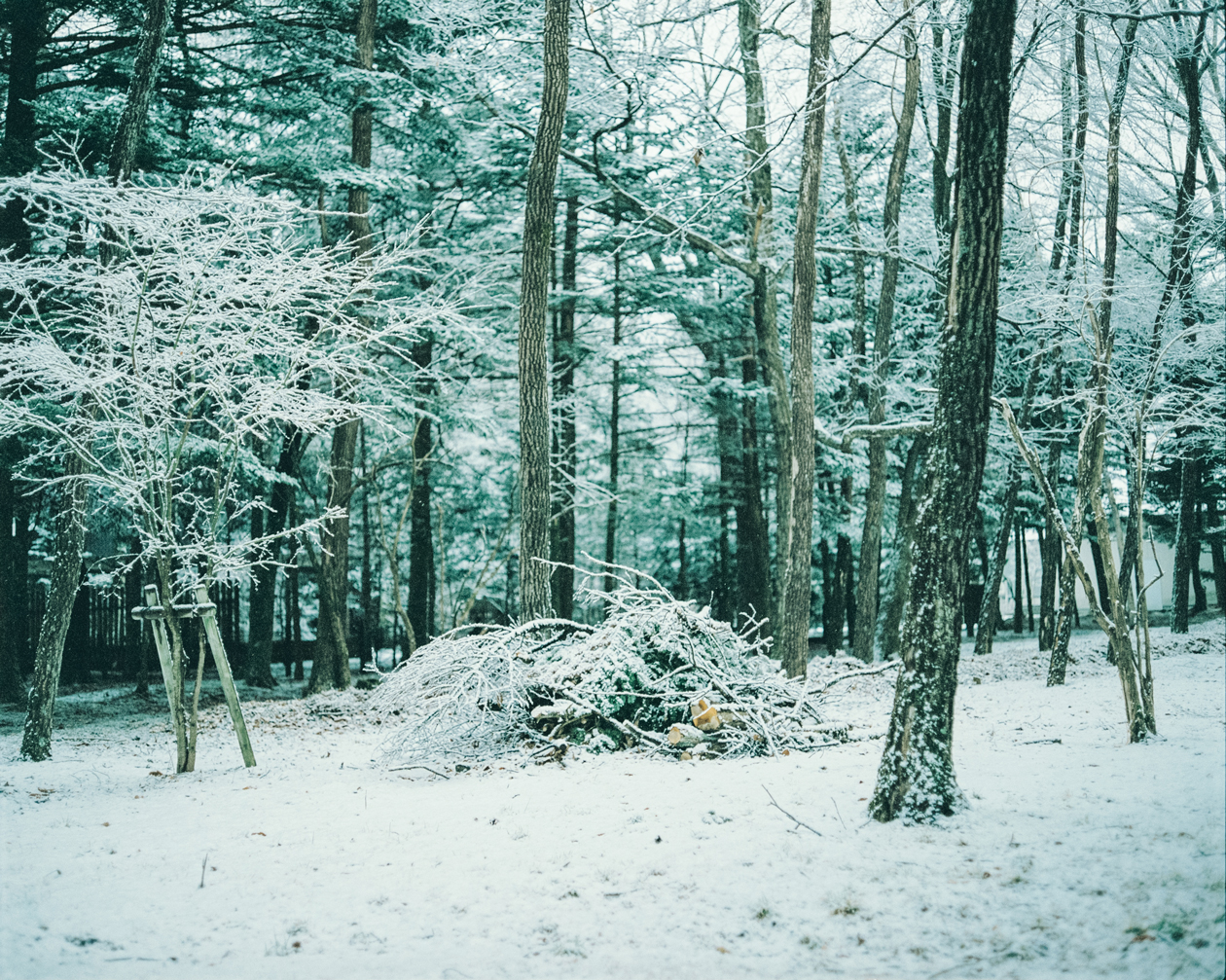 Plaubel makina67（プラウベルマキナ）の作例で、冬の軽井沢をご紹介