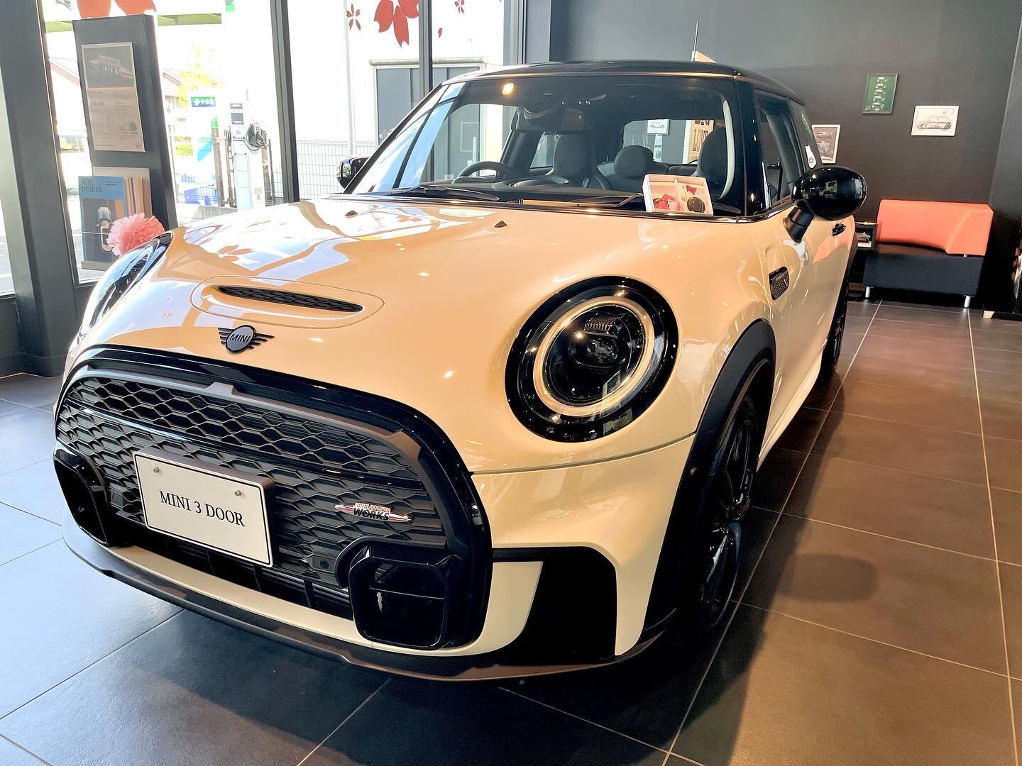 ペッパーホワイト祭り！ - MINI 八王子／MINI 府中／MINI 相模原／MINI