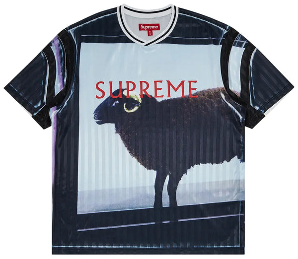 1618561_01_jpg_600x.webp?v=