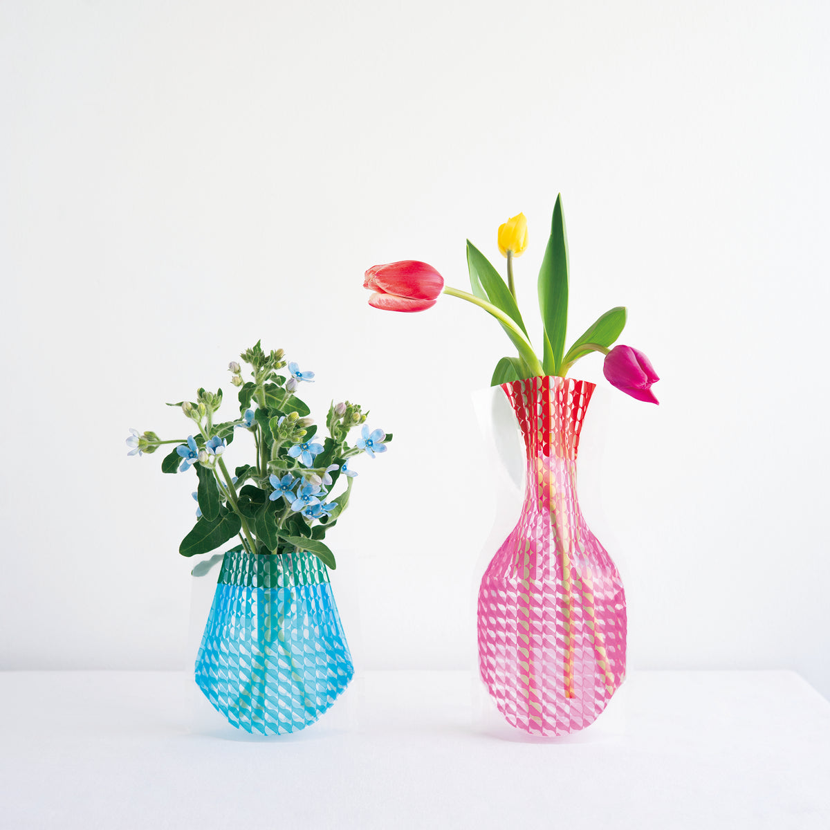 フラワーベース D-BROS×青山フラワーマーケット | D-BROS