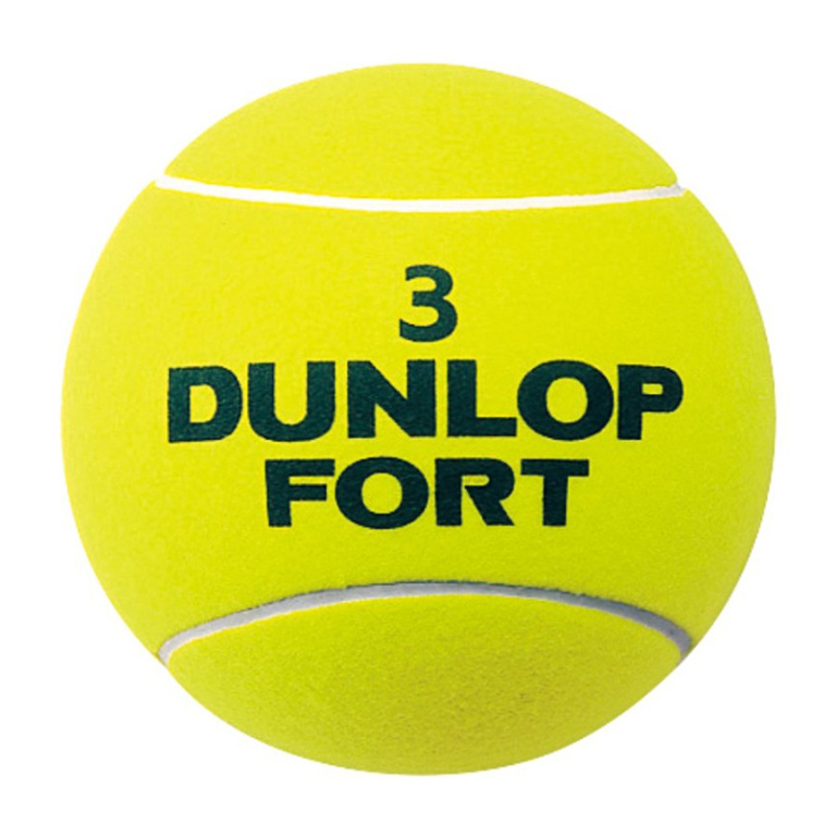 DUNLOP FORT ダンロップ フォート 2球入缶 SDGS | ダンロップスポーツ