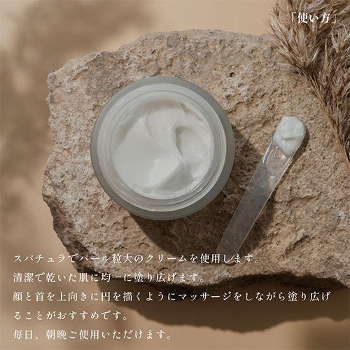 DAMDAM】もちもちルミナスクリーム ｜Biople WEB STORE（ビープル